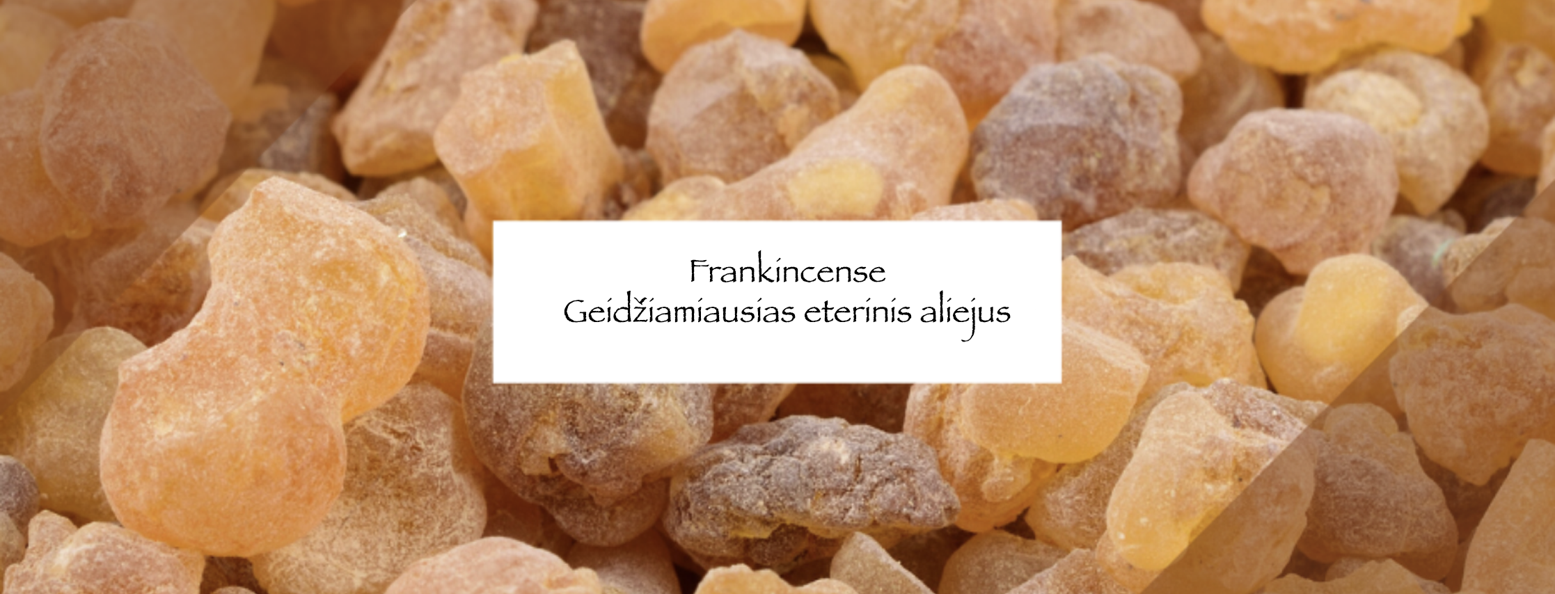 “Frankincense” Kodėl šis antikinis eterinis aliejus aktualus šiandien?