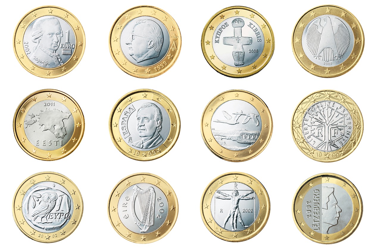 Euro monetos: ką reikia apie jas žinoti